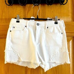 NWT Dear John Lillie Embroidered Denim Short